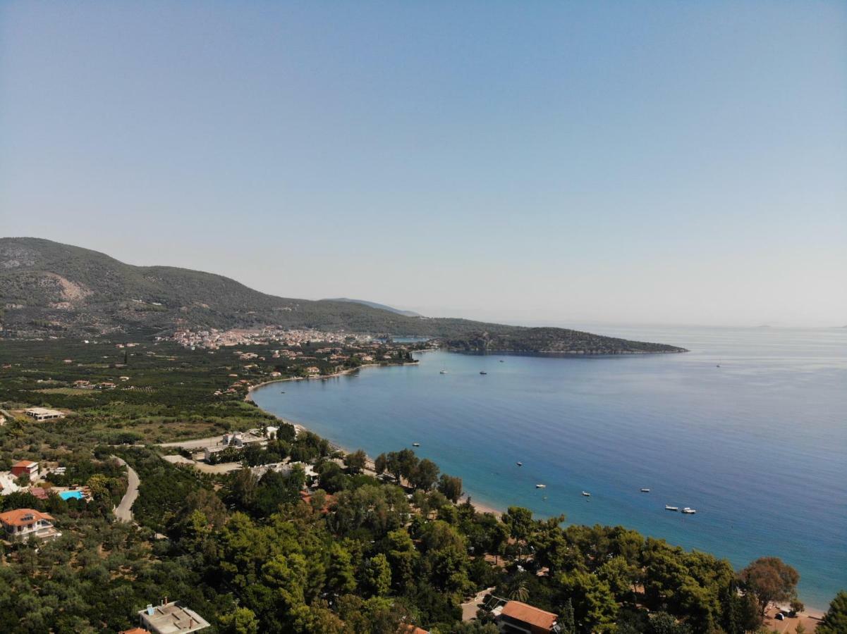Irini Epidaurus