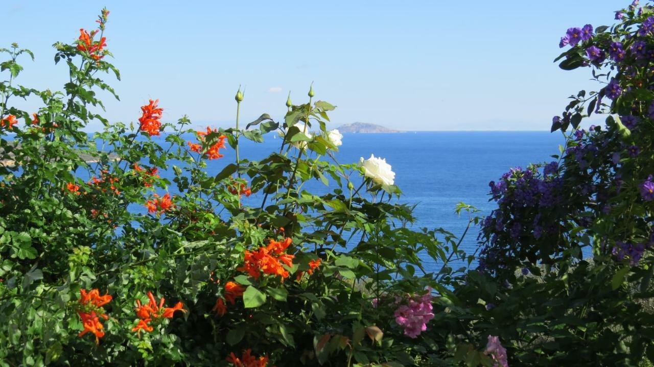 Irini Villa Epidaurus